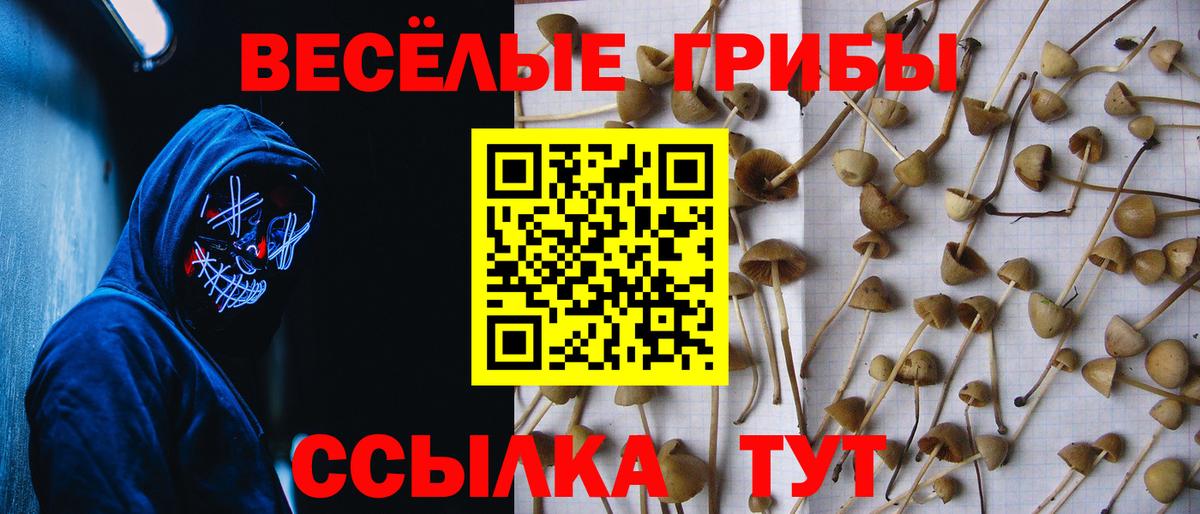 Гусиноозёрск  Псилоцибиновые грибы GOLDEN TEACHER  Вход с VPN  Псилоцибиновые грибы Psilocybine cubensis 