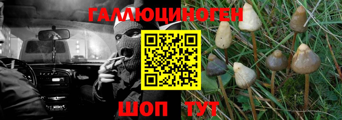 Псилоцибиновые грибы мухоморы Гусиноозёрск